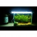 Planted aquarium